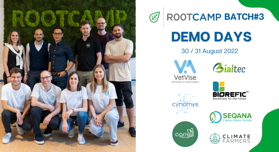 DemoDay 3