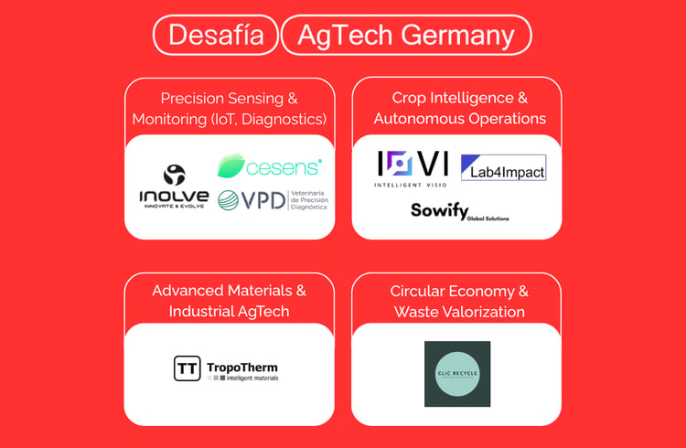 Desafia 2026 Startups Market Map-1