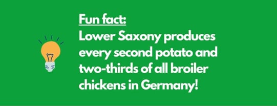 Fun fact Lower Saxony produces every second potato and two-thirds of all broiler chickens in Germany!