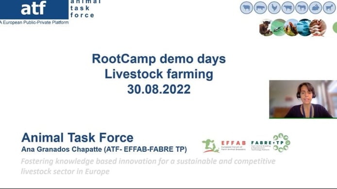 RootCamp Demo Day 1 Livestock keynote