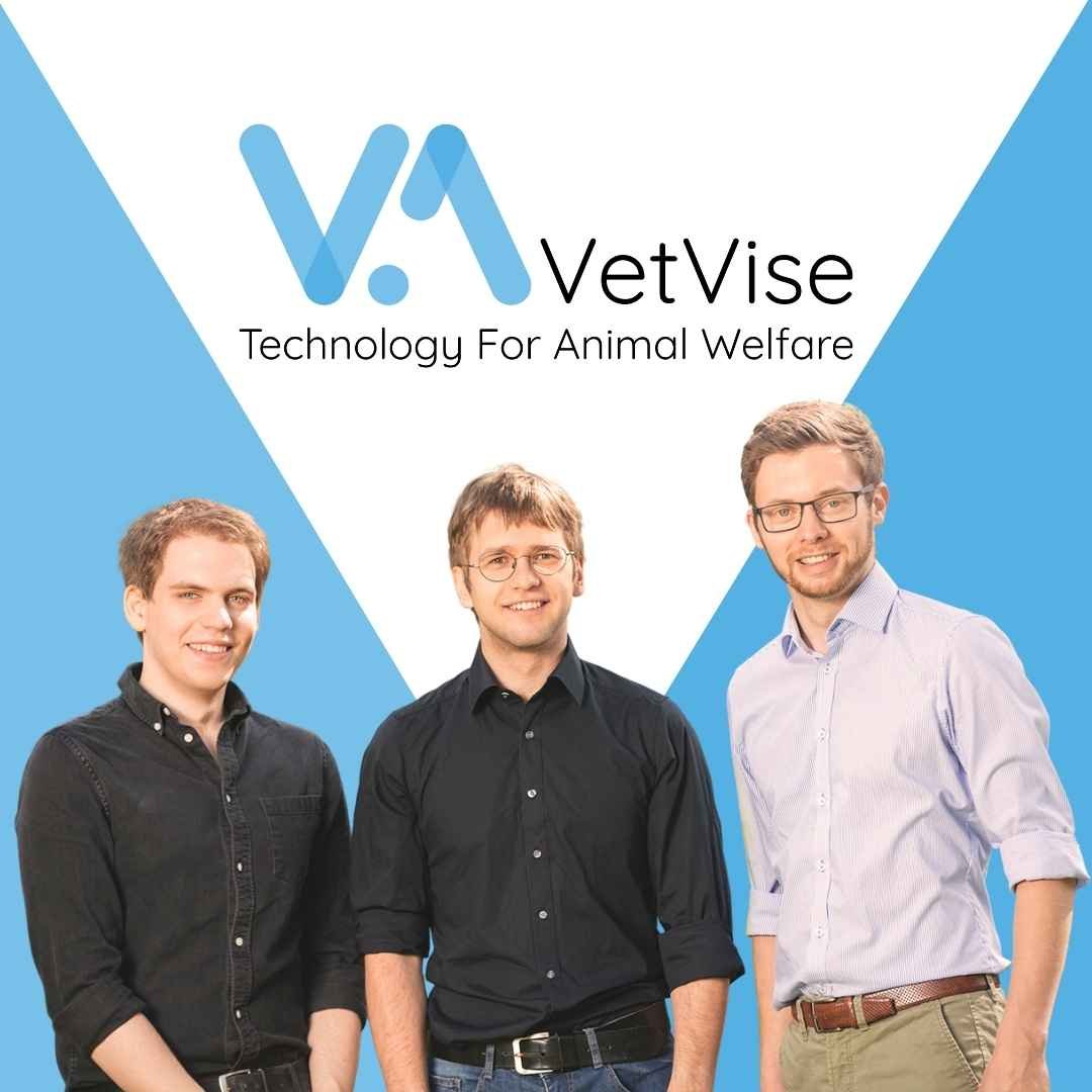 VetVise Team