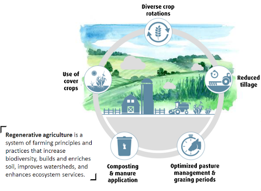 carbon farming blog 1