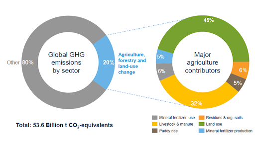 carbon farming blog 2