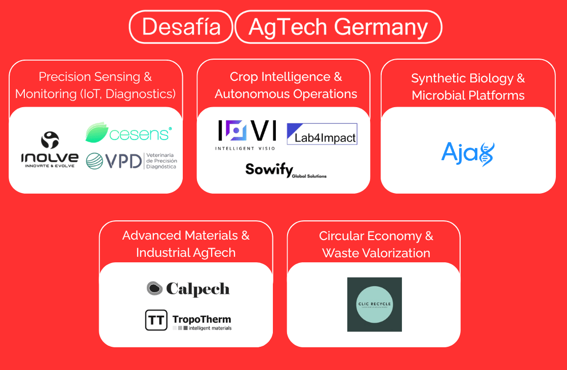 Desafia 2026 Startups Market Map