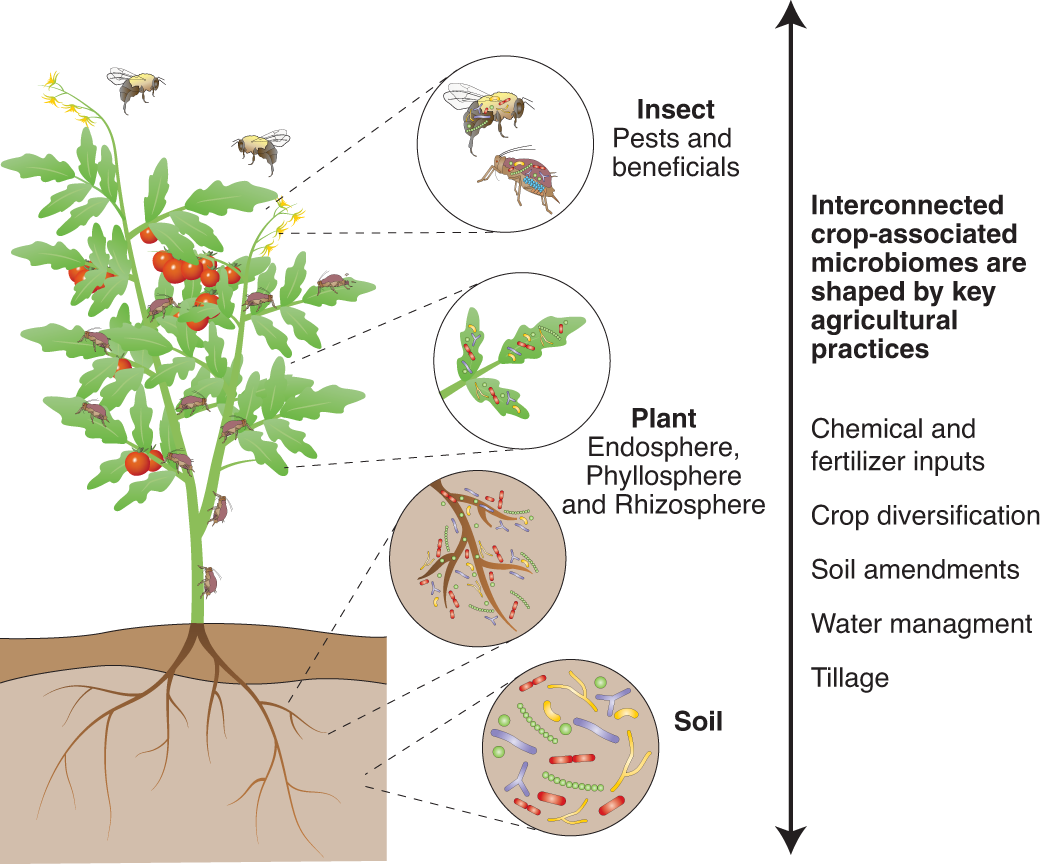 Soil Microbiome_Figure 1